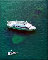 Bermuda - Glass Bottom Boat